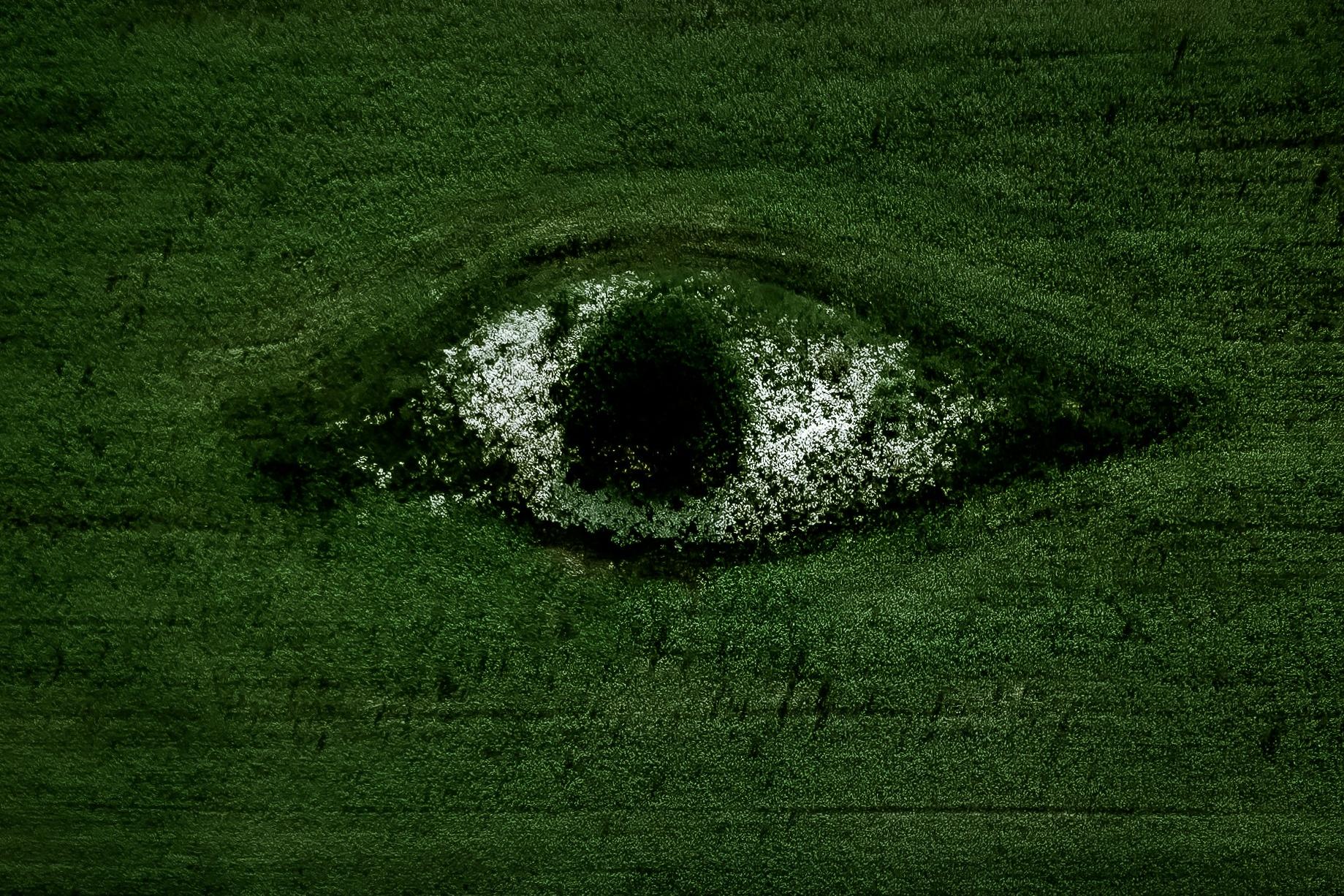 聚氨酯泡沫：從開創(chuàng)性材料到閉環(huán)回收的現(xiàn)代挑戰(zhàn)