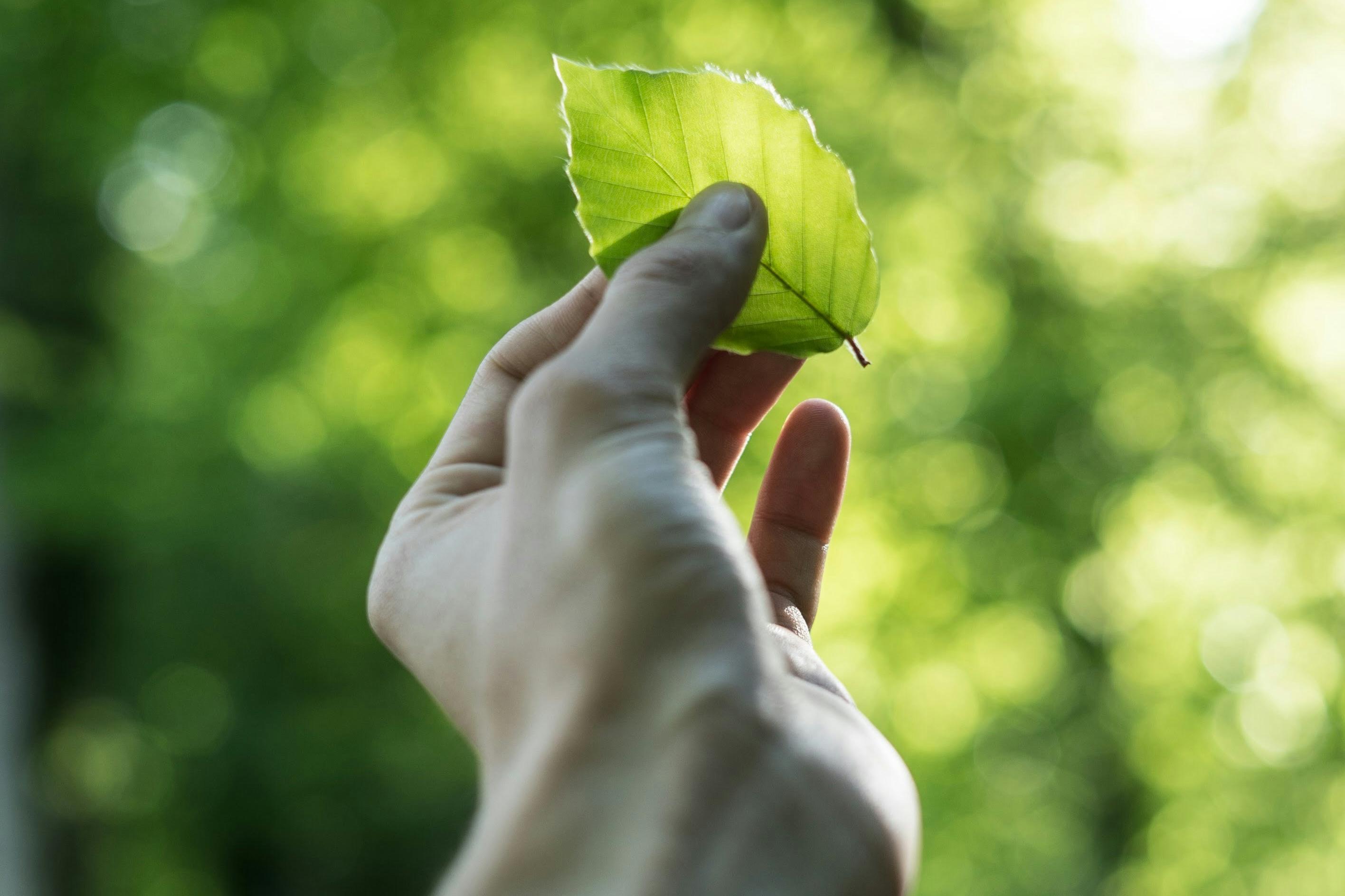 聚苯乙烯壓實(shí)機(jī)：可靠的泡沫減容處理設(shè)備